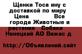 Щенки Тоса-ину с доставкой по миру › Цена ­ 68 000 - Все города Животные и растения » Собаки   . Ненецкий АО,Вижас д.